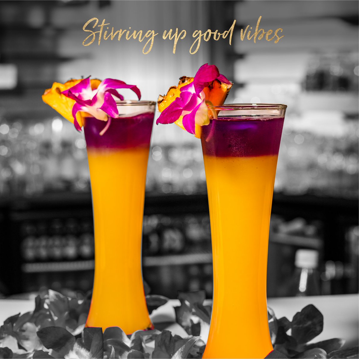 LucknowTanatan's tweet photo. Friday Motivation- Work hard, be nice, and indulge in our fusion cocktails! 
Are you joining us for a drink?

Timings: 12PM- 12AM
📞 : +91 9619325945 / +91 91368 65660 https://t.co/icShesTa9z