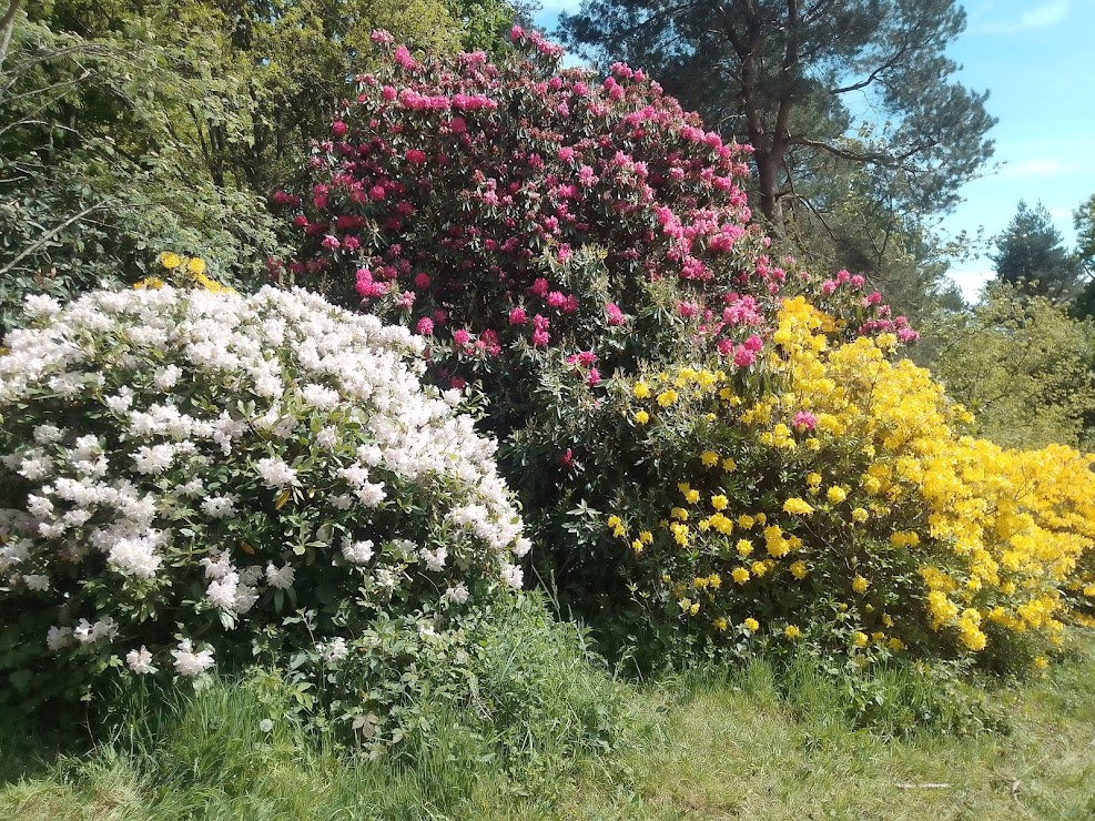 Springime in England #INeverKnewThat #discoverbritain #discoveruk #discoverengland #visitbritain #visituk #visitengland #Travel #bestofbritish #UKTravel #NaturePhotography