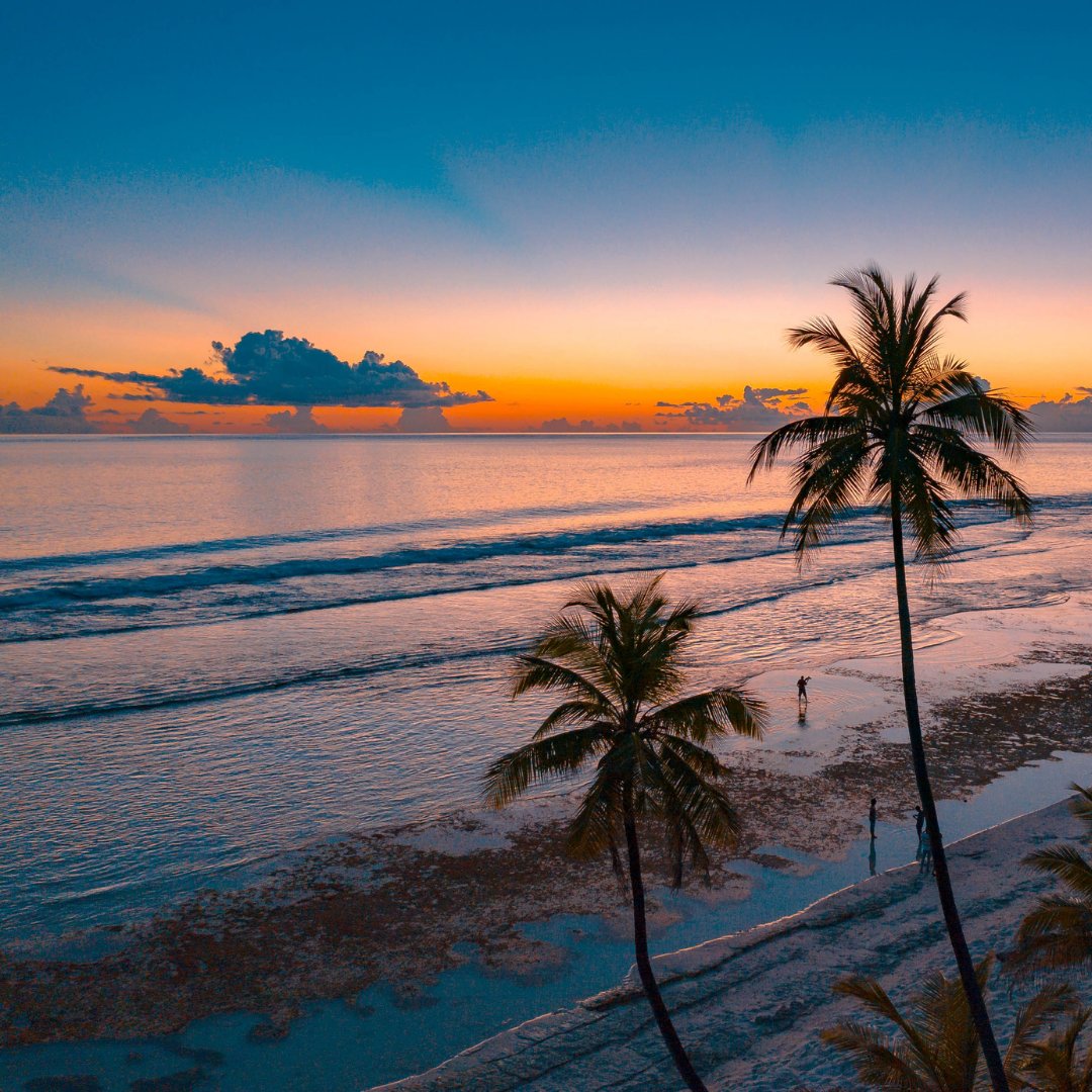 We’ll be chasing palm trees and the ocean breeze…

Come join us! 

#TheZubeida #HotelsinKenya #Sunsets #Dianibeach #LuxuryTravels #LuxuryBoutiqueHotel #MagicalKenya #FamilyHolidayDestinations #TravelKenya #BeautifulDestinations #leadinghotelsoftheworld #DestinationDiani