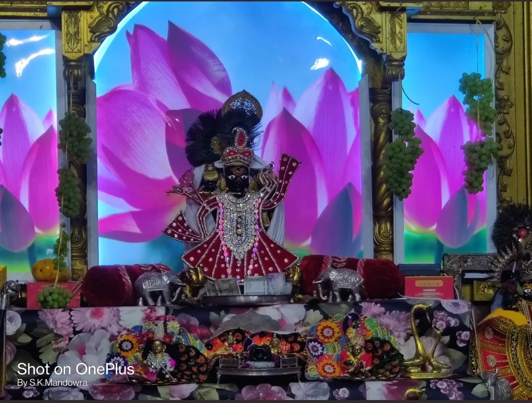 ji_setha's tweet photo. जय श्री सांवलिया सेठ जी आज के दर्शन 13 मई 2022🙏🙏🤗🤗😍🥰🥰🥰 https://t.co/N8wTgUZ8wi
