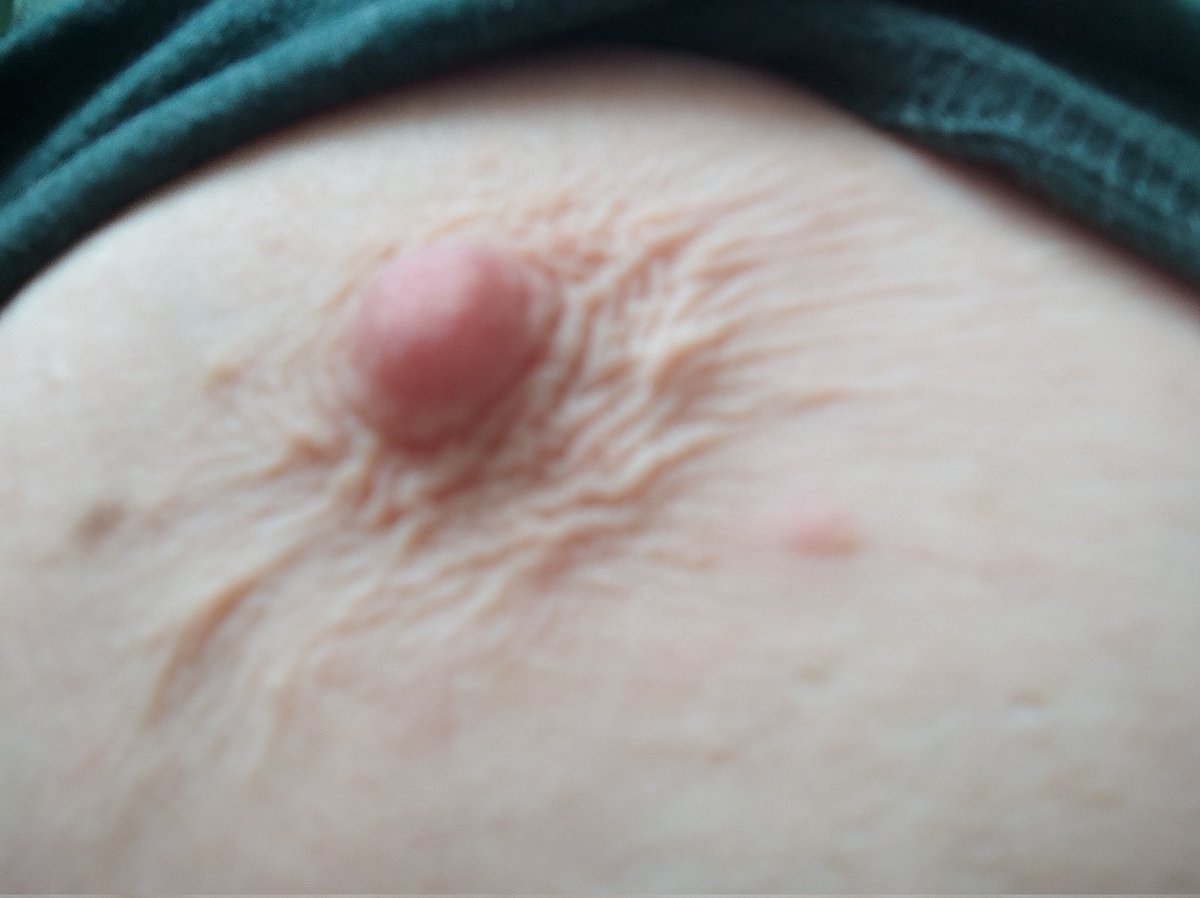 dvrlingvivi's tweet photo. hmm, maybe closer? 😼 #nsfwtwt #nsfwtwtﾟ https://t.co/1KuQluK99R