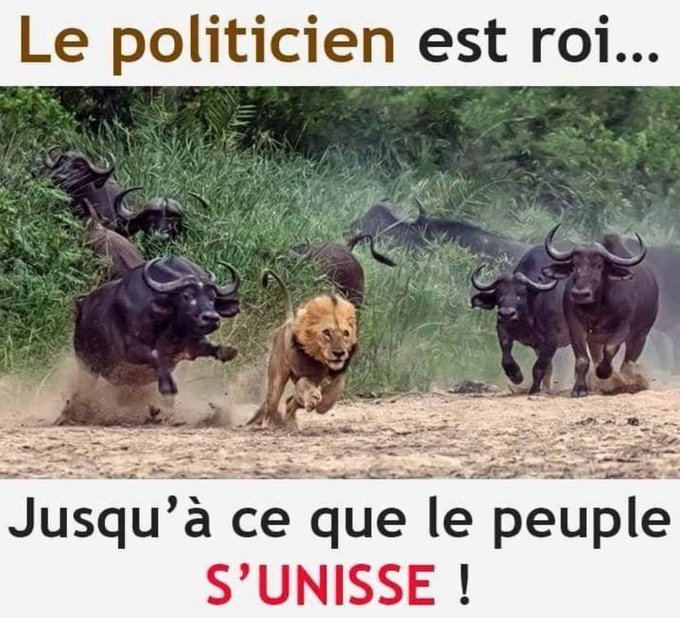 Albanie_Jose's tweet photo. @v_joron #Resistanc https://t.co/bYh0o18ssm