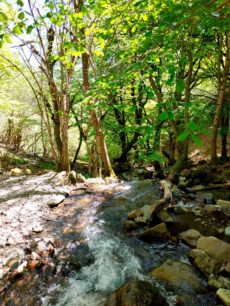 SusanaRLezaun's tweet photo. Esta semana he tenido la suerte de descubrir el #ValleDeAran. Montañas, agua, bosques, pueblos, gastronomía, paz, desconexión... No entiendo cómo he tardado tanto en ir. Lo que es seguro es que volveré. #Vielha #Bossots #Carlac #SautFethPish #Bausen #Bagergue #Gausac https://t.co/c9ZPIOO2zg