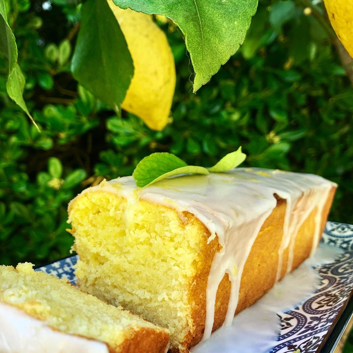 ValzeCook's tweet photo. #cakeaucitron #lemoncake #tortaallimone #campodeifiori #roma #rome #italia #italy #italie #surleblog #ontheblog https://t.co/mXsPCQDICX https://t.co/8Xape3tubC