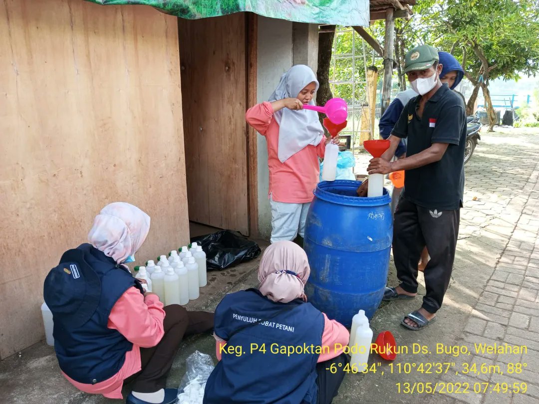 dkpp_jepara's tweet photo. Gerakan Pengendalian Organisme Pengganggu Tanaman (Gerdal OPT) dengan menggunakan bakteri Paenibacillus di Gapoktan Podo Rukun Ds. Bugo Kec. Welahan. https://t.co/LKR8Fancha