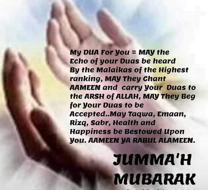 mohamedtaraj's tweet photo. https://t.co/VxezWVlNfE