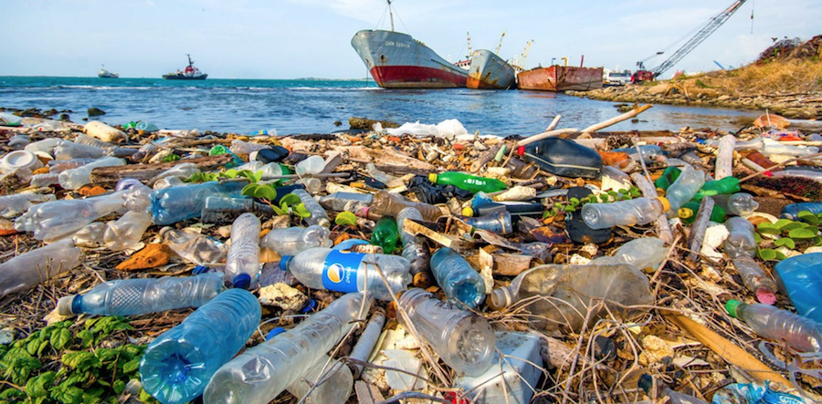 Nueva entrada (Estudio de Eunomia sobre el impacto de los compromisos de las grandes marcas de bebidas sobre el reciclado de botellas de PET en la contaminación marina) ha sido publicada en rethinking.ong/estudio-de-eun…