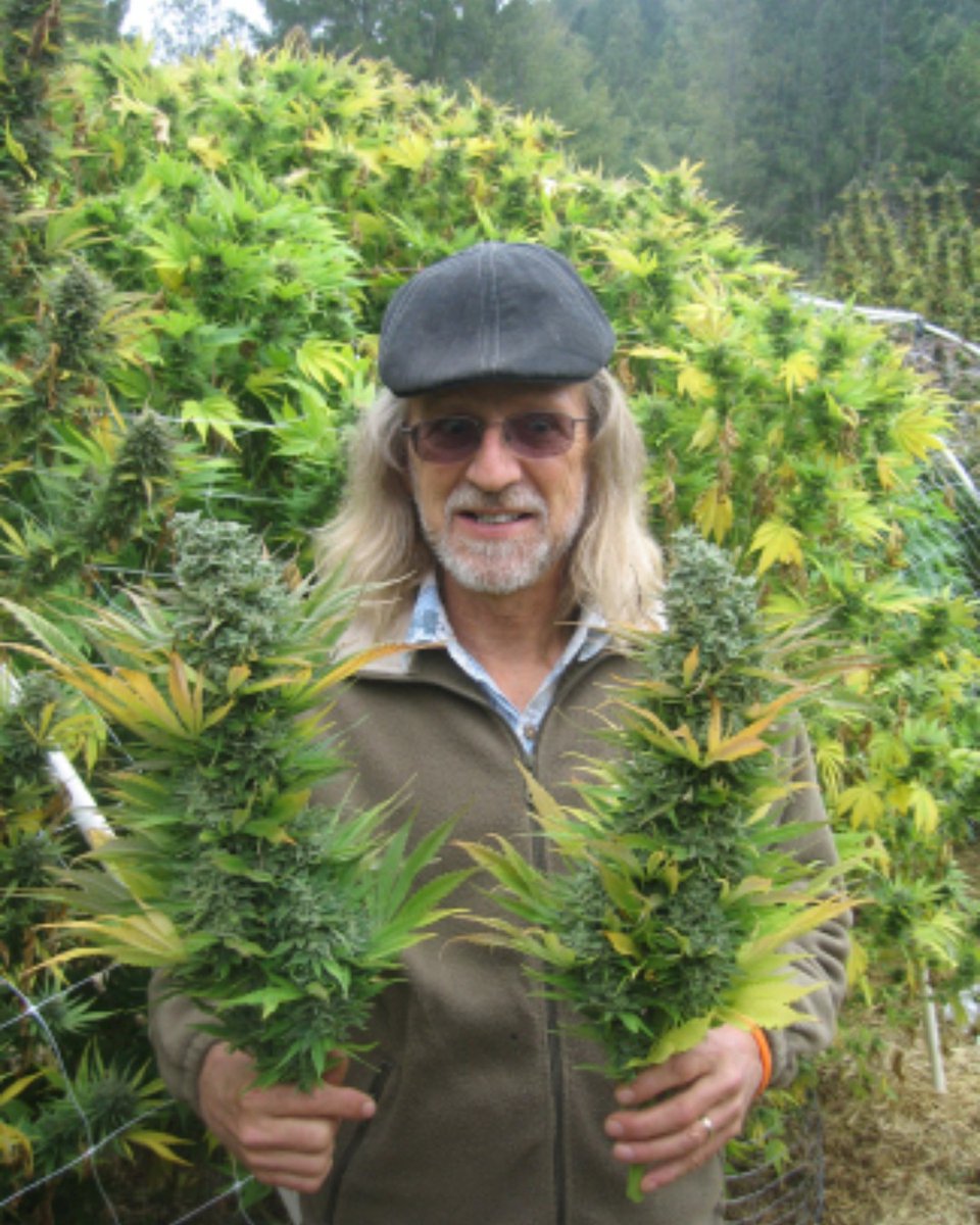 Meet Jorge Cervantes at CannaTrade 2022, award winning cannabis cultivation author and YouTube channel personality. 🤩 His pioneering books, articles and videos during the last four decades has helped millions of marijuana growers worldwide cultivate more and better cannabis. 📖