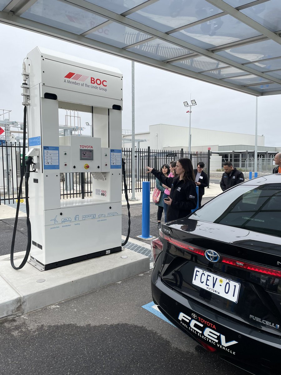 Dr Alison Every tweet media