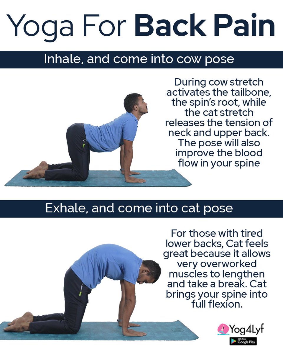 yog4lyf's tweet photo. Yoga for Back Pain

https://t.co/DU8uMN1qaP
#yoga #yog4lyf #yogaforeveryone #yogaeverywhere #yogaforback #yogaforbackpain https://t.co/BThniItgUT