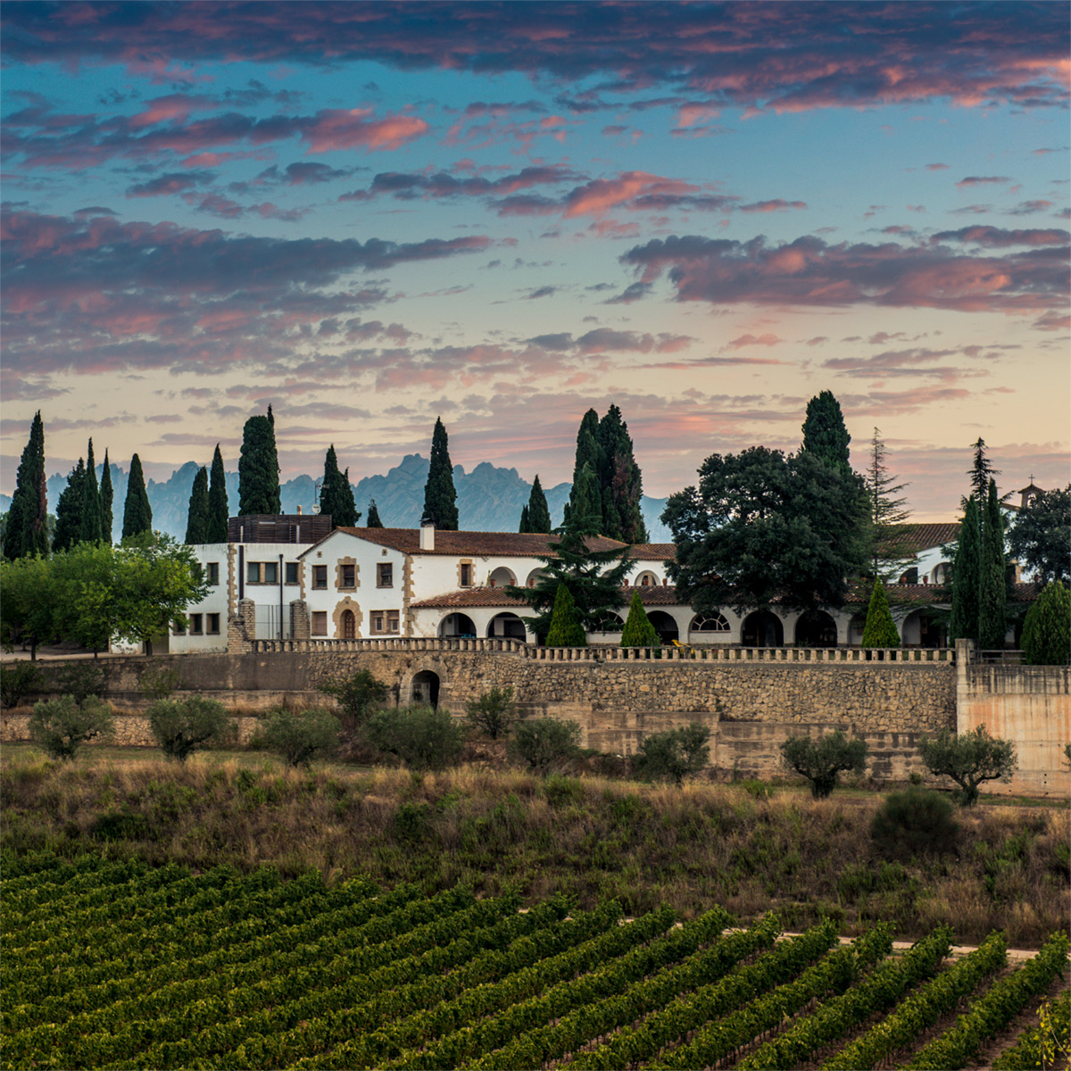 juveycamps's tweet photo. ☁️Un espectacular atardecer en la finca de Can Rius. Entorno en el que mimamos y cultivamos distintas variedades con las que elaboramos nuestros espumosos.
·
#juveycamps #JuvéStories #cava #cavalovers #penedes #viñedos #canrius https://t.co/o2sVgYEhec