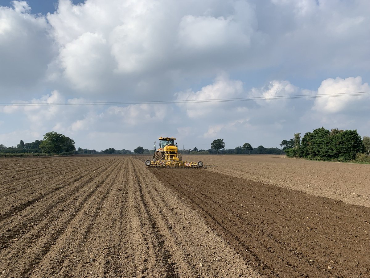 WTSarge's tweet photo. We are looking for an enthusiastic person to work with us at our farm in south Norfolk. It’s mainly an arable role, so cultivation, drilling and telehandler experience is a plus. Email me at sargent@friarsfarm.com to find out more #farming #job https://t.co/PTq9VRFDko