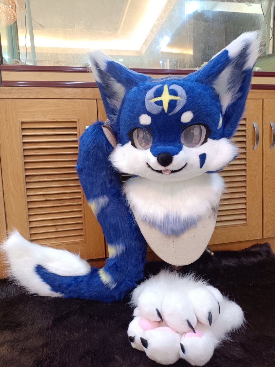 cxfursuit's tweet photo. A very cute little guy！ #furry #furryfandom #furrycommunity #fursuit #fursuiter #fursuitmaker #fursuting #kemonosuit #kemonofursuitmaker #kemonofursuits https://t.co/NmSagsLWW6 https://t.co/UwvmU0xb85 https://t.co/PWzhKWcfAx