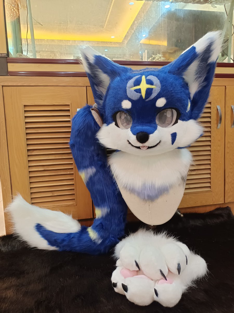 cxfursuit's tweet photo. A very cute little guy！ #furry #furryfandom #furrycommunity #fursuit #fursuiter #fursuitmaker #fursuting #kemonosuit #kemonofursuitmaker #kemonofursuits https://t.co/NmSagsLWW6 https://t.co/UwvmU0xb85 https://t.co/PWzhKWcfAx
