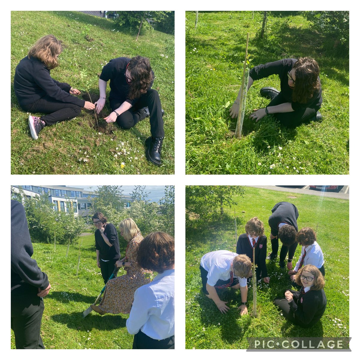 Eco Club enjoyed another tree planting session yesterday 🌍🌳🐝🪱