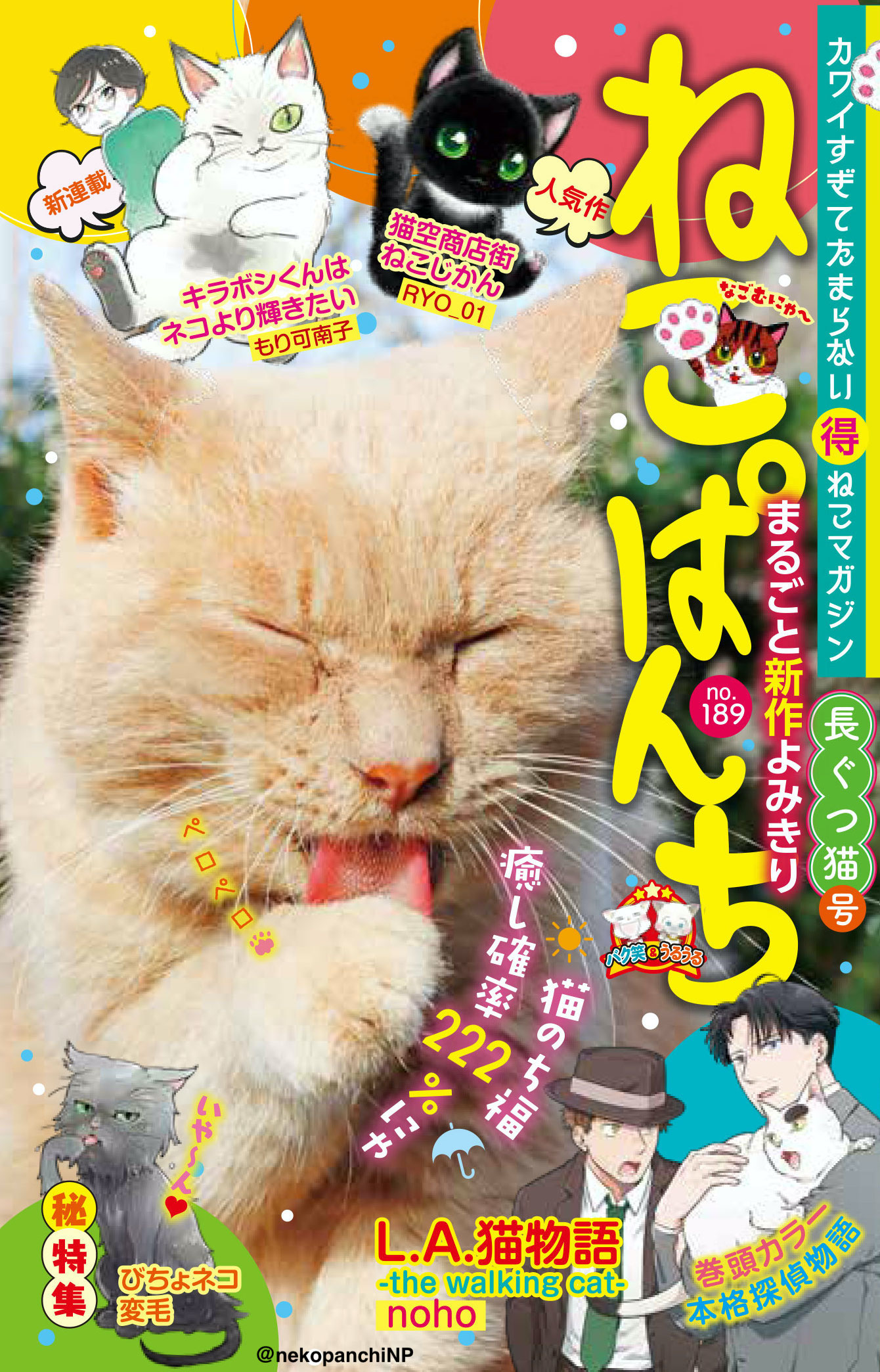 ねこぱんち編集部 公式 本日発売 ねこぱんち No 1 長ぐつ猫号 巻頭カラー L A 猫物語 The Walking Cat 漫画 Noho 注目作 キラボシくんはネコより輝きたい 漫画 もり可南子 全国書店 コンビニで発売中 Amazon T Co