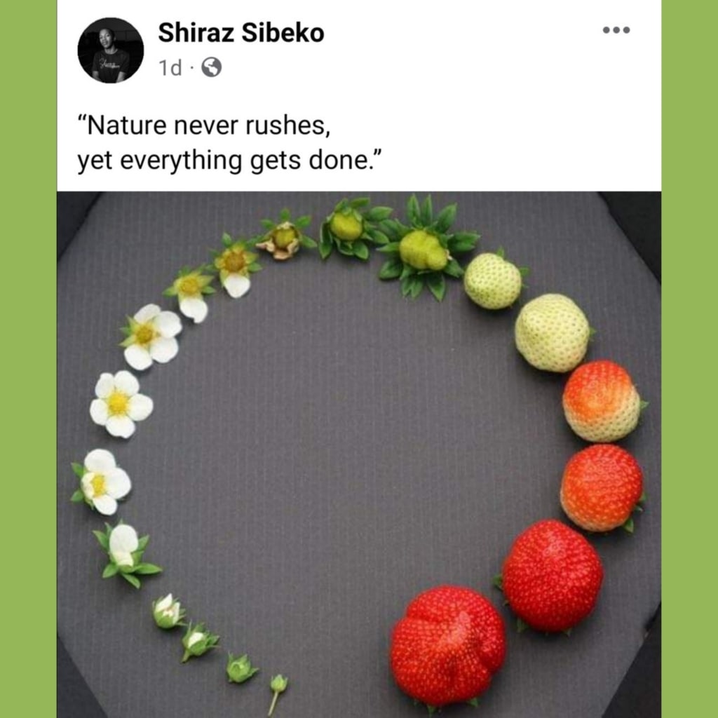 DeepRootsBooks's tweet image. Take your time. 

(Via FB @ Shiraz Sibeko) 

#TakeYourTime #DontRush #LiveSlow #WriteforYourLife #Write #Writing #Writers #WritersofTwitter