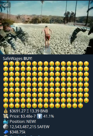 HiddencryGems's tweet photo. This is by far the BEST time to invest in #crypto. Altcoin season is about to start, and you should invest in LEGIT projects only. @SafeWages being one of them. 🚀🚀🚀 https://t.co/GpVKo8lfho