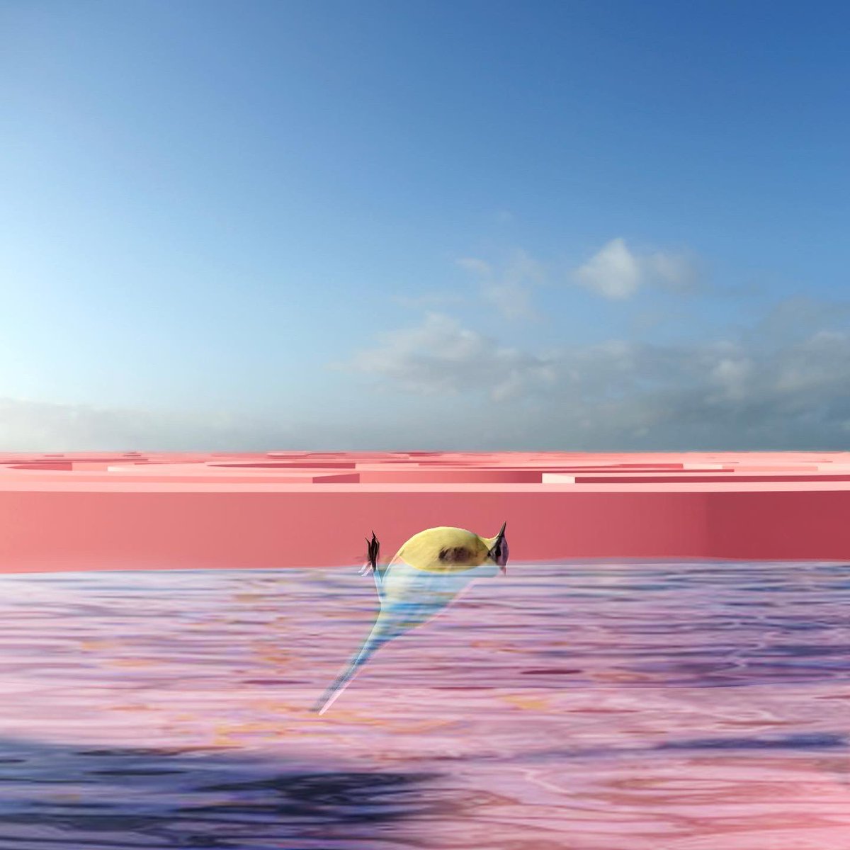 Wormiverse 鳥の宇宙 tweet media