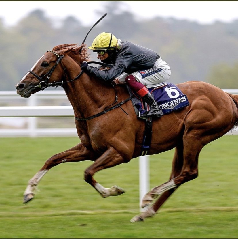 ONLY FLANS (@flansinfo) on Twitter photo If STRADIVARIUS wins the Yorkshire cup at York I'll give Β£100 FREE BET to one lucky person! π°
To Enter: π
1) RT this Tweet
2) Follow <a href="/FlansInfo/">ONLY FLANS</a>
#ONLYFLANS #HORSERACING If STRADIVARIUS wins the Yorkshire cup at York I'll give Β£100 FREE BET to one lucky person! π°
To Enter: π
1) RT this Tweet
2) Follow <a href="/FlansInfo/">ONLY FLANS</a>
#ONLYFLANS #HORSERACING