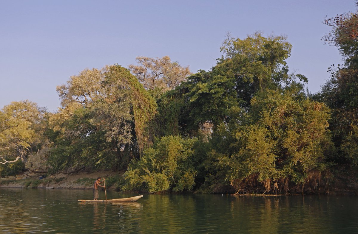 NamEmbassySwe's tweet photo. The (O)Kavango River and its broad floodplains make the Kavango West Region considerably greener than the rest of Namibia. This river forms a natural boundary between Namibia and Angola for more than 400 kilometres. https://t.co/lmEwU7we7a