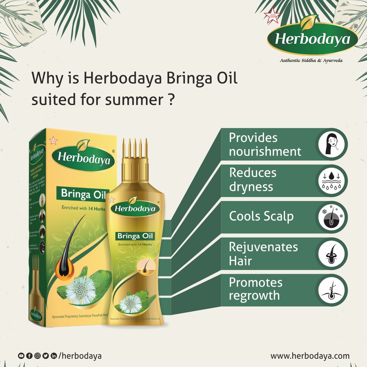herbodaya's tweet photo. Why is Herboday Bringa oil suited for summer?

Order Now: https://t.co/1Z0kB71j5a

Follow us: FB - https://t.co/wGtIZQgYz1

Instagram: https://t.co/nIlQuWrwGE

Call: 0424 - 2500590

#haircareproducts #haircareroutine #herbodya #haircare #hairgrowth #BringaHairOil #HairOil https://t.co/t5KnDBioy4