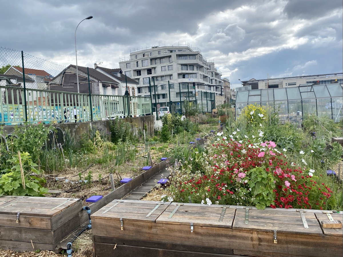 #Aubervilliers : nous avons approvisionné 60 tonnes de terres inertes pour différents espaces et usages au sein de la #fermeurbaine Terre Terre de l’association La SAUGE, pépinière urbaine participative. 
#terres #solidarité #economiecirculaire #valorisation #impact