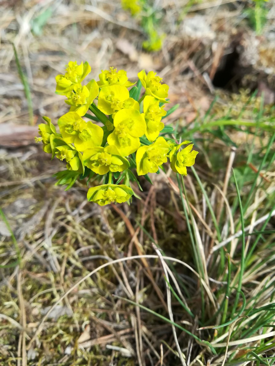 TheMessMess's tweet image. 