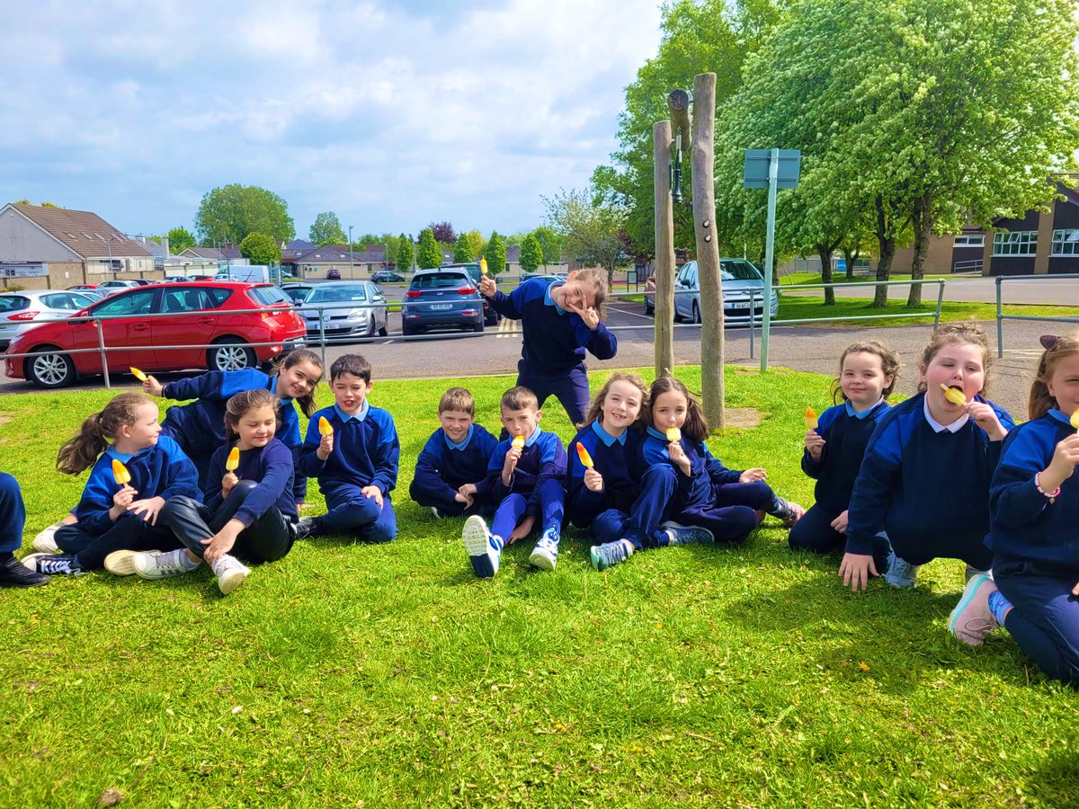 Aoife Hardiman tweet media