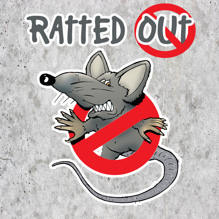 theYPLife's tweet photo. Need a game for this week? Then try our newest game - Ratted Out! It gives a twist to a classic game adding teamwork, espionage, and sabotage! Find out how to play at
https://t.co/p042tmMbeQ
#YPLife
#RattedOut https://t.co/9CvSCo9qq2