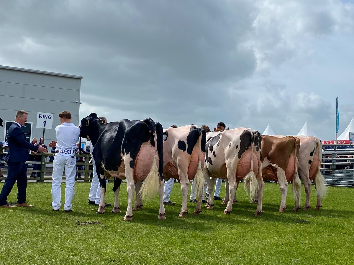 Holstein UK tweet media