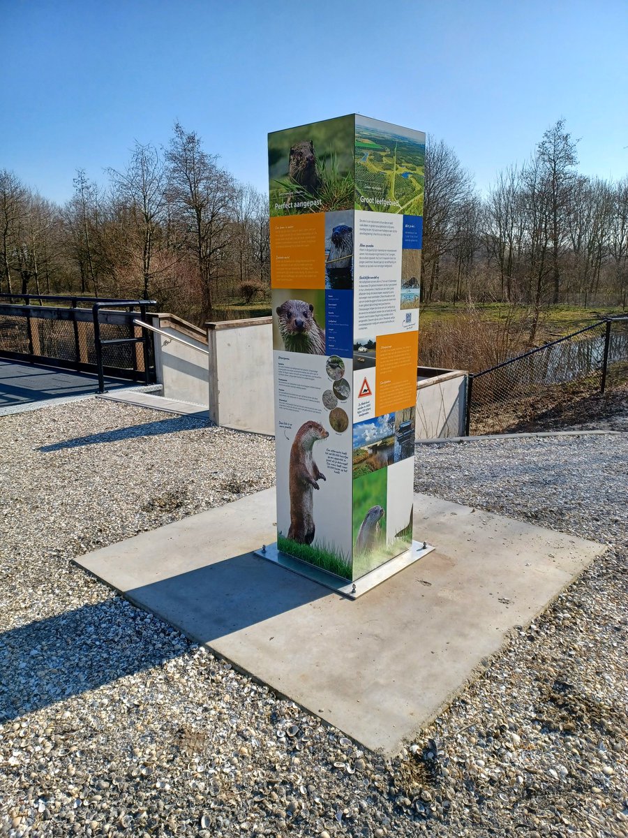 InfobordenNIV's tweet photo. Gisteren was de officiële opening van het otterverblijf in @NatuurparkL.  @BuroNIV mocht hiervoor o.a. een informatiezuil, educatieve draaikubussen en een visual verzorgen. Prachtige plek om otters van dichtbij te zien! @flevolandschap #buitencommunicatie https://t.co/LoXkJOmQlM