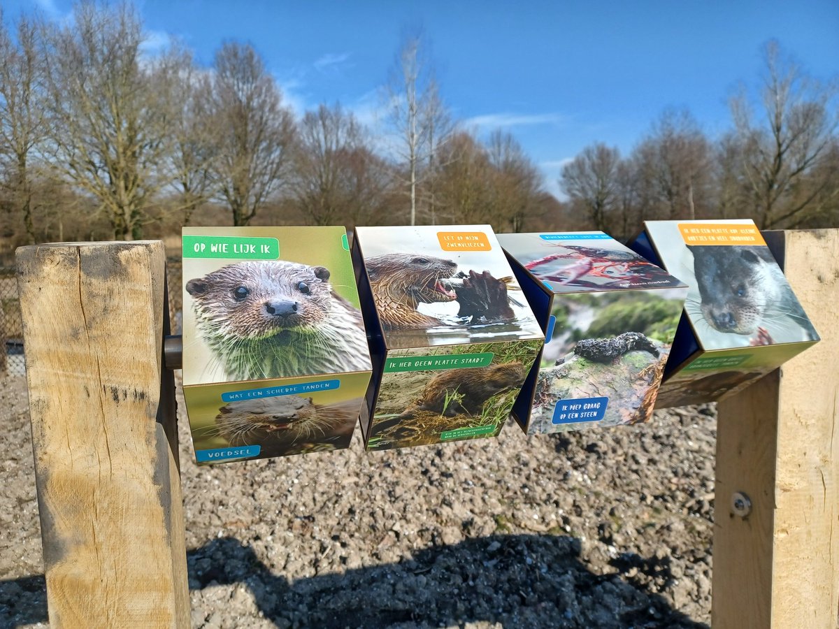 InfobordenNIV's tweet photo. Gisteren was de officiële opening van het otterverblijf in @NatuurparkL.  @BuroNIV mocht hiervoor o.a. een informatiezuil, educatieve draaikubussen en een visual verzorgen. Prachtige plek om otters van dichtbij te zien! @flevolandschap #buitencommunicatie https://t.co/LoXkJOmQlM