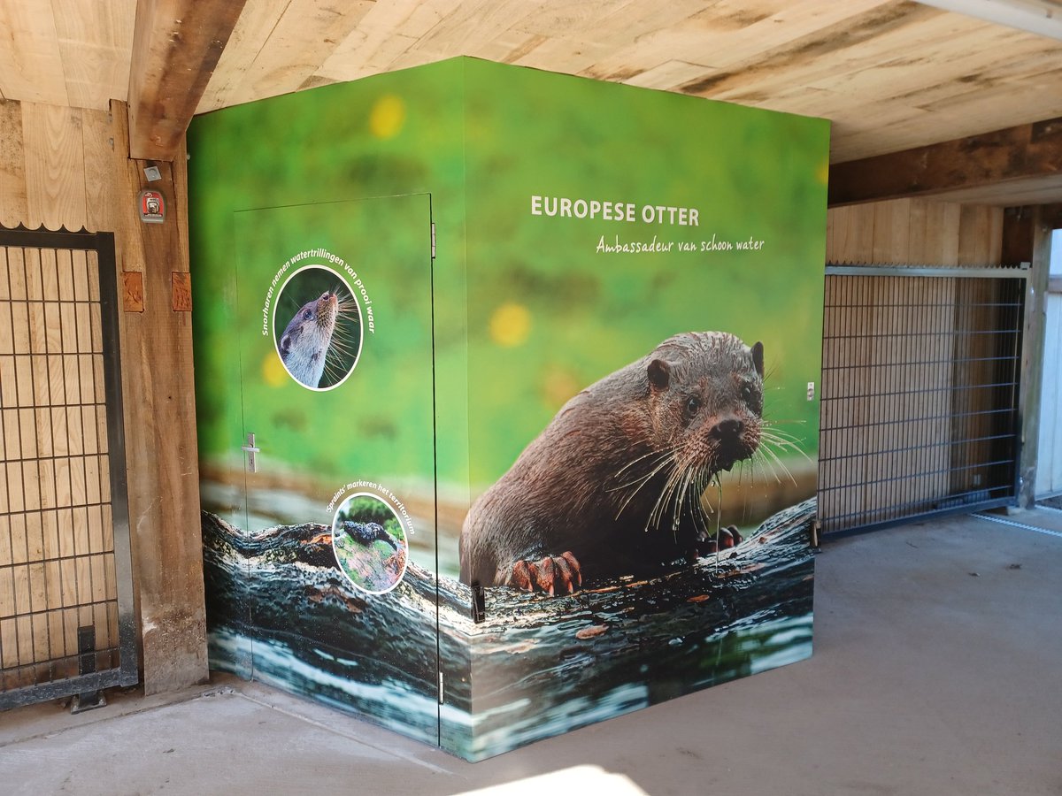 InfobordenNIV's tweet photo. Gisteren was de officiële opening van het otterverblijf in @NatuurparkL.  @BuroNIV mocht hiervoor o.a. een informatiezuil, educatieve draaikubussen en een visual verzorgen. Prachtige plek om otters van dichtbij te zien! @flevolandschap #buitencommunicatie https://t.co/LoXkJOmQlM