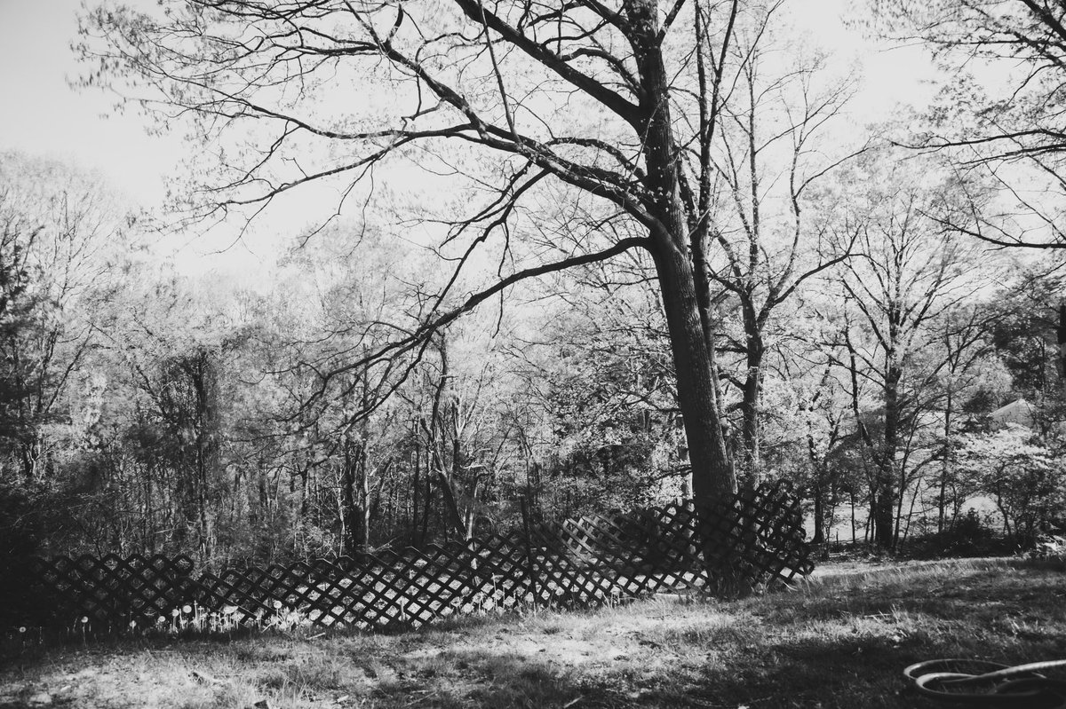 jer_welsh's tweet image. Got an IR filter yesterday. Color shots were…not as intended lol
But B&amp;amp;W is nice and creepy
#moody #Infrared #photography