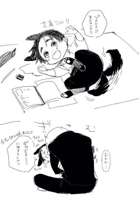 きゃふんきゃふん 