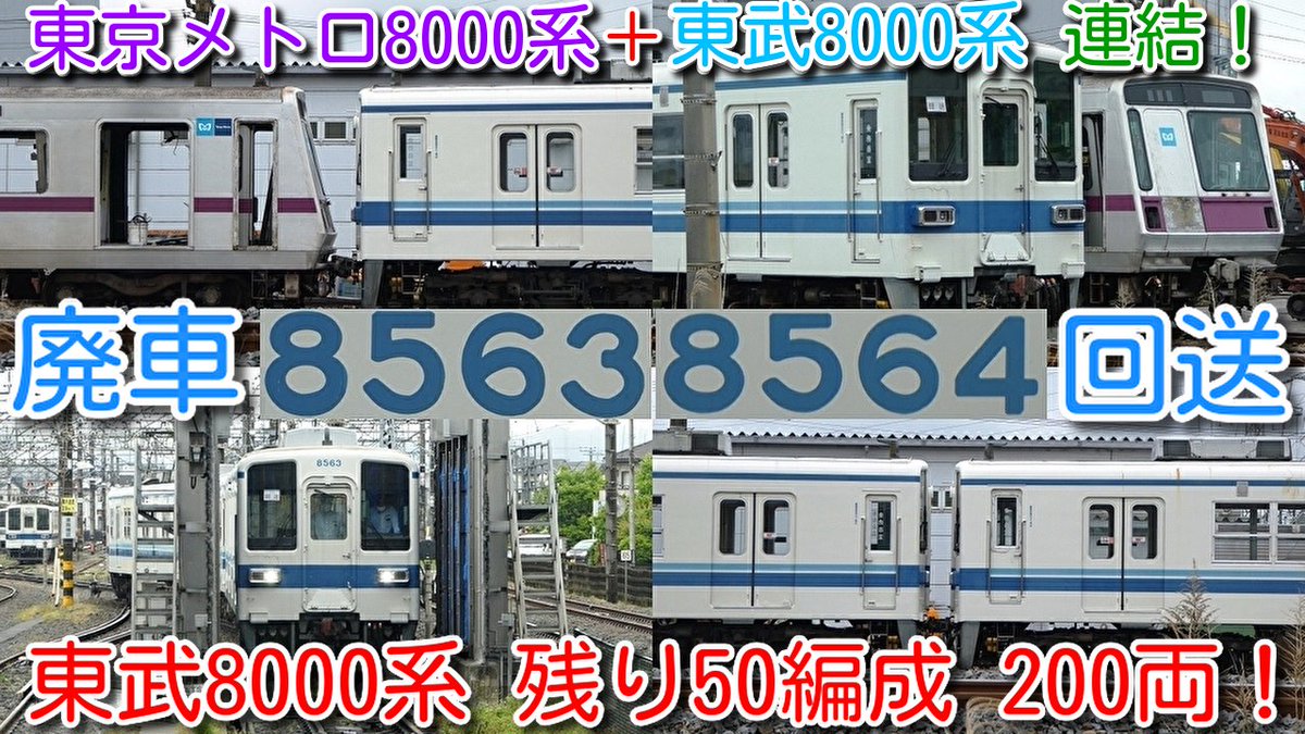 azumatakeshi's tweet photo. 【本日廃車回送!東武8000系 8563F+8564F 4両!
なんと 東京メトロ8000系+東武8000系 連結!】
東武8000系 残り50編成 200両!3年ぶりの廃車!
渡瀬北(北館林)へ廃車回送!
https://t.co/SCeCXuscDH
#東武 #8000系 #8563F #8564F #館林 #ワンマン #廃車 #回送 https://t.co/UMiYDg9uwb
