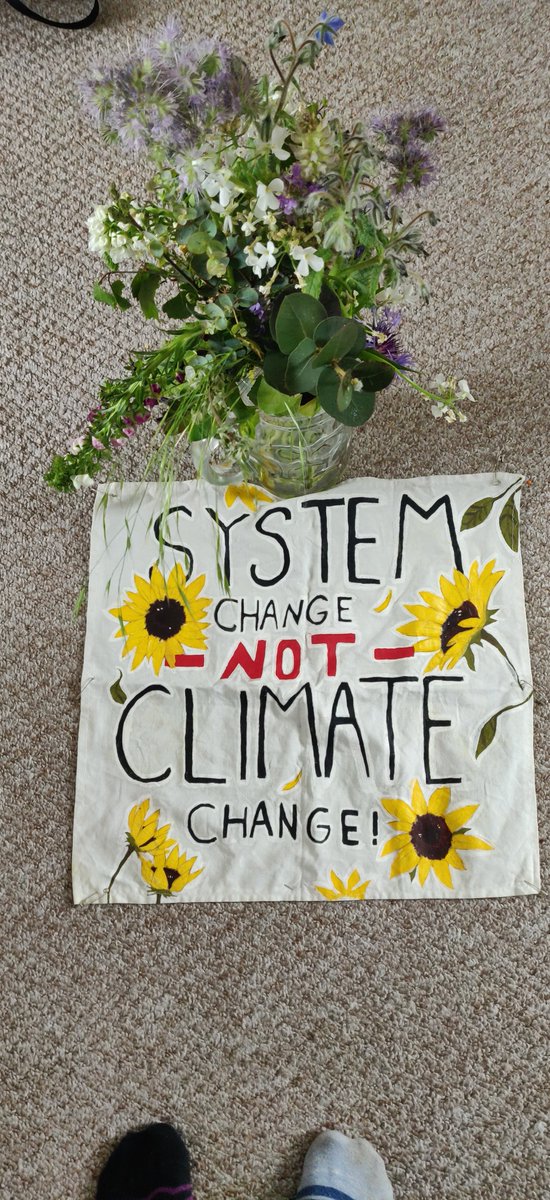 TonePersson's tweet photo. #climatestrikeonline #fridaysforfuture https://t.co/k8Dt7FBJg7