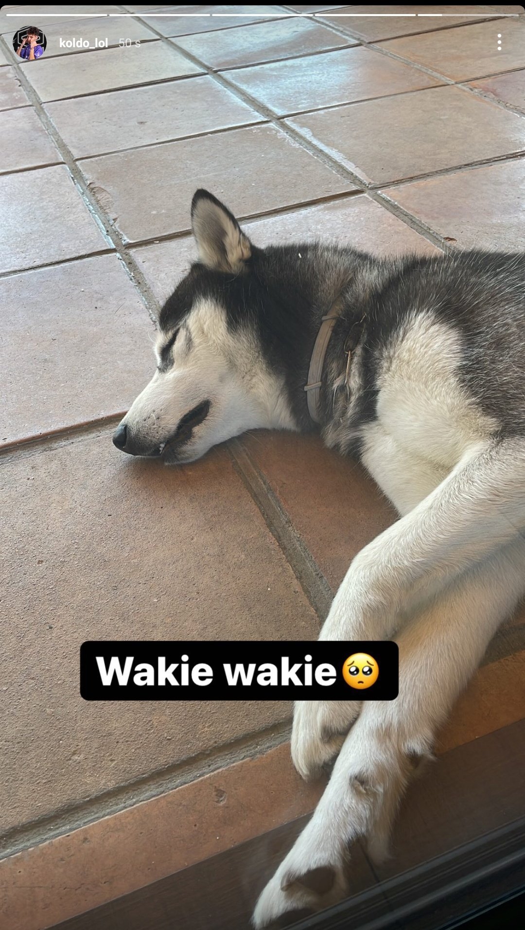  Koldo Updates On Twitter Koldo En Sus Historias De Instagram 