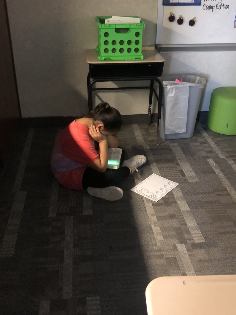 Miss_Wineland's tweet photo. Welcome to Camp Read-A-Lot! Starting off our day by reading by the fire with glow sticks! #pikeproud @CES_Pike https://t.co/gNKz42m2Sh