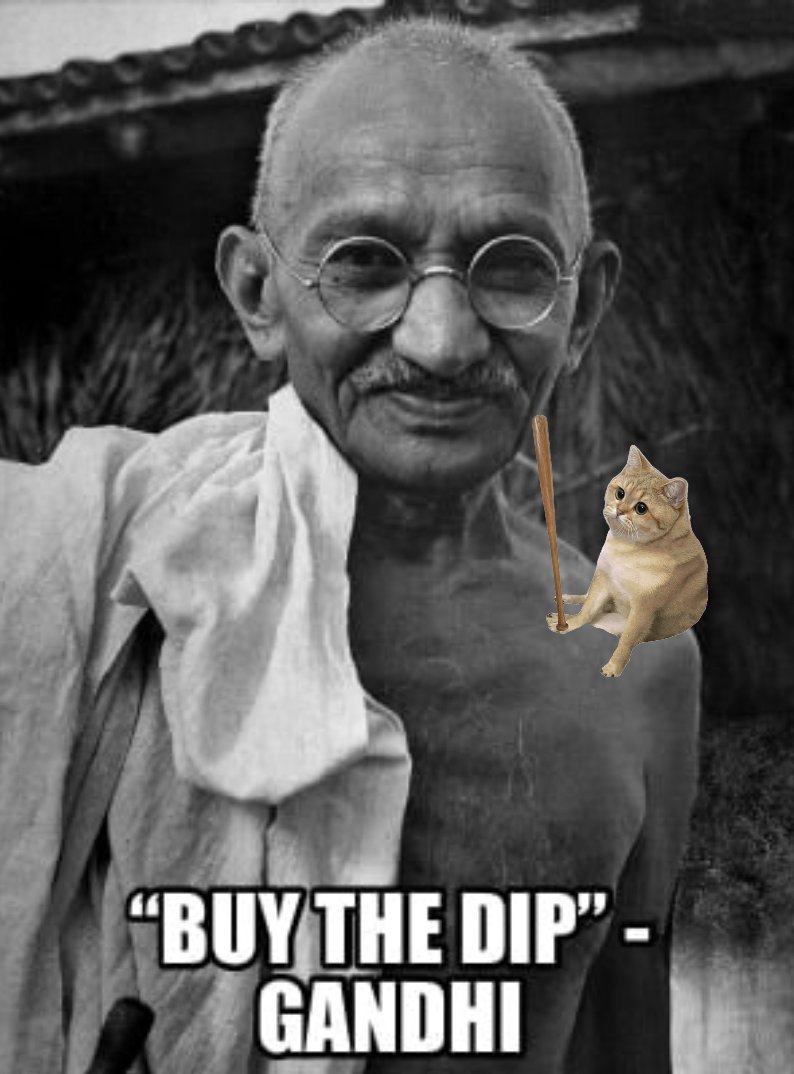 Dess_Catbonk's tweet photo. @cryptogems555 #CATBONK https://t.co/Fza7UDTmnX