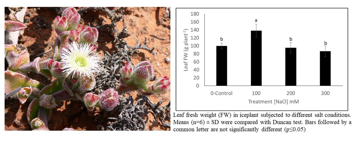 Journal of Applied Botany and Food Quality tweet media