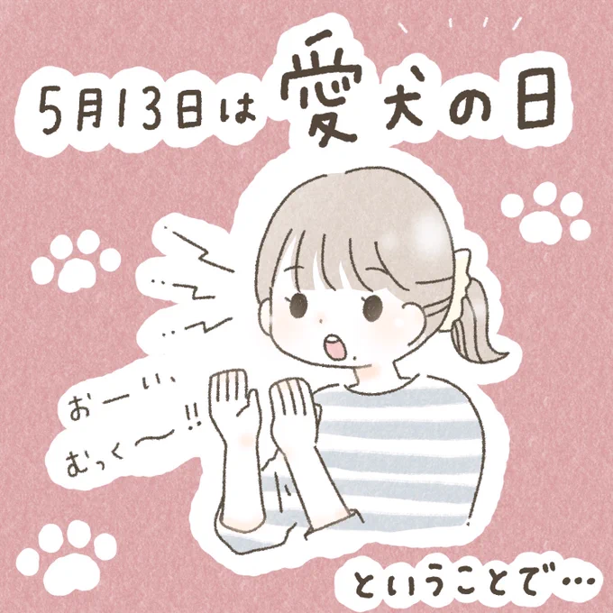 #愛犬の日  ということで我が家の最高の愛犬・むっくさんについてまとめてみました!!!!① 