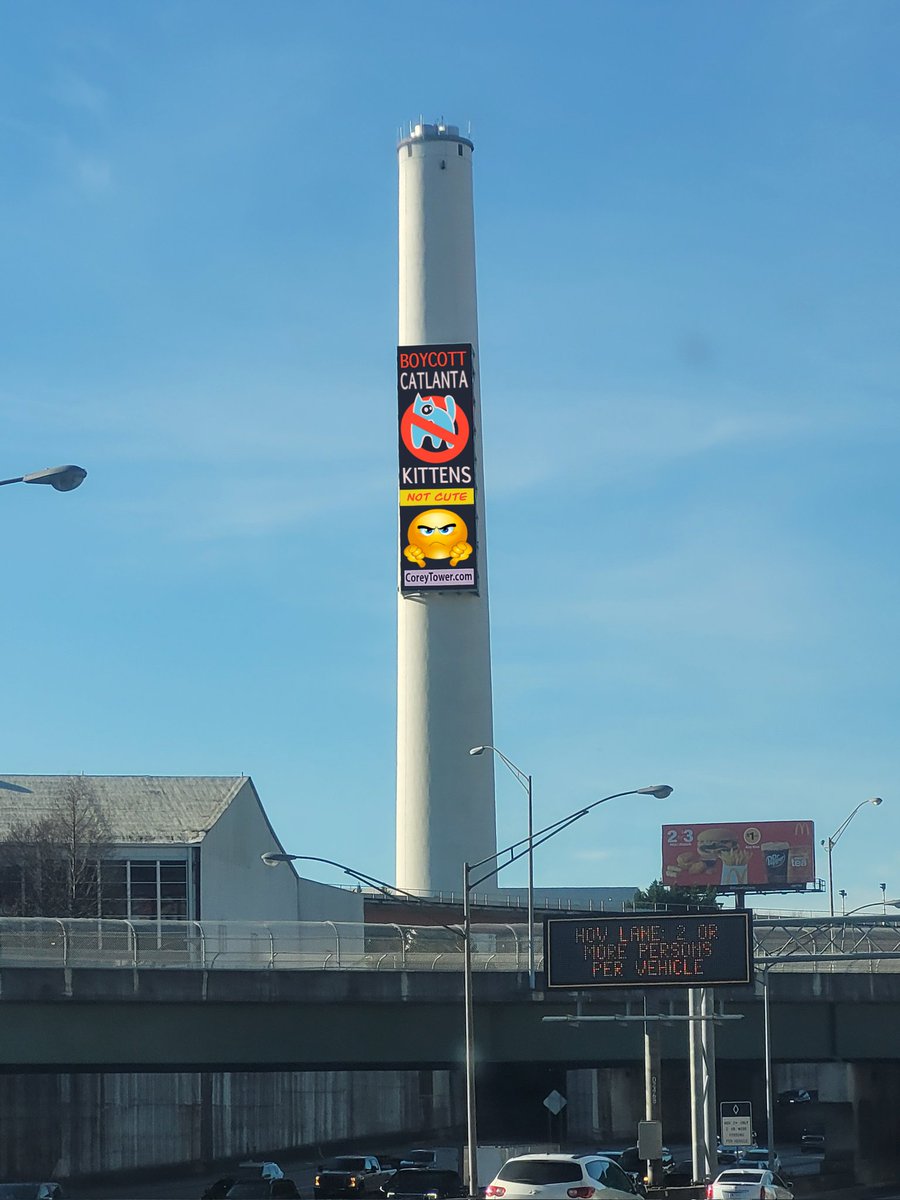 Catlanta tweet media