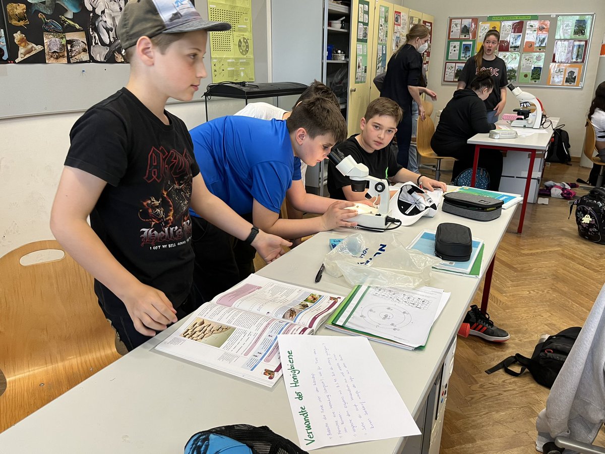 Maria Navarro Girbés tweet media