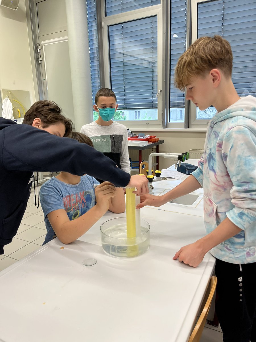 Maria Navarro Girbés tweet media