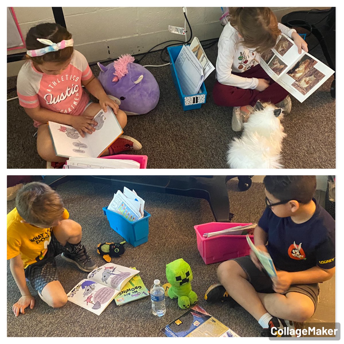 Ms. Barrett tweet media