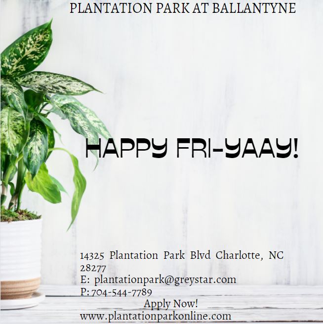 PlantationPark's tweet photo. Happy Fri-Yaay!! Tour &amp; Lease Right Now! - https://t.co/aW5MrmZYhr https://t.co/FOmZFYRD1L