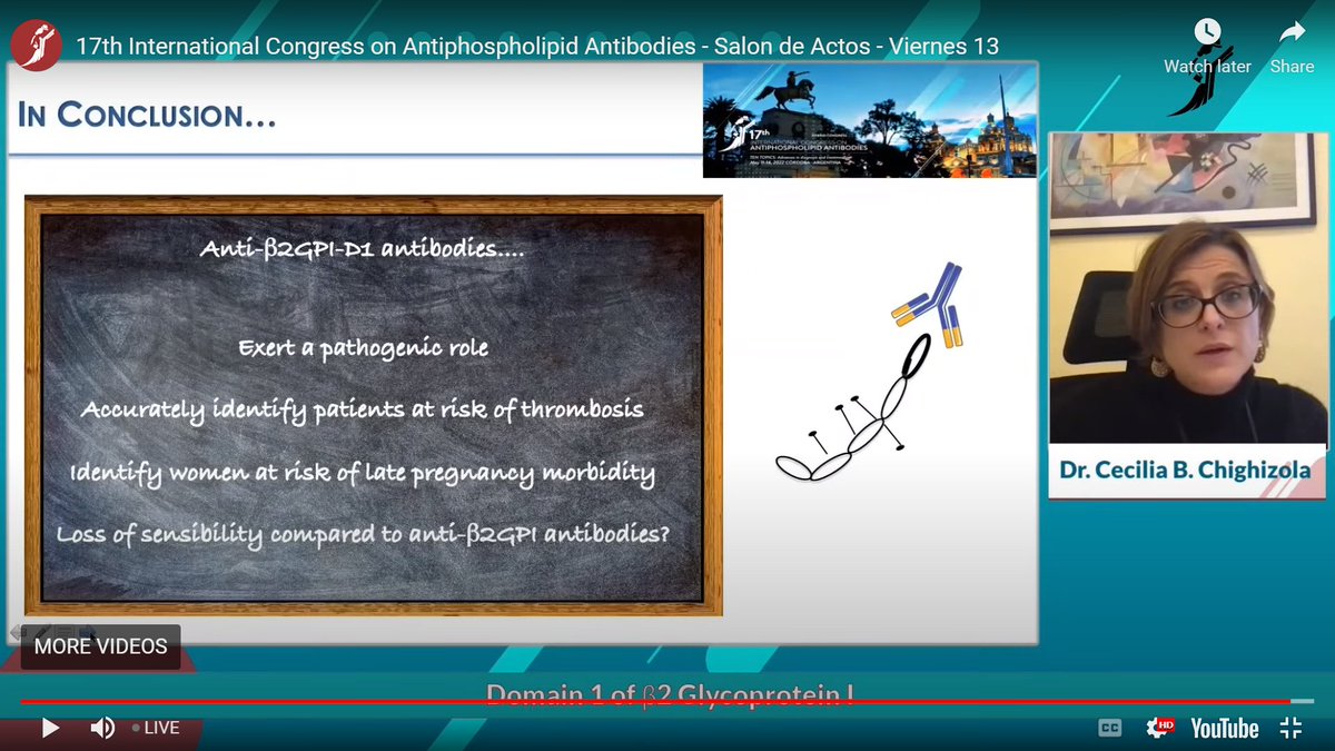 jasonsknight's tweet image. The role of anti-B2GPI domain I antibodies in #APS by Dr. Cecilia Chighizola #ICAPA2022 🇦🇷