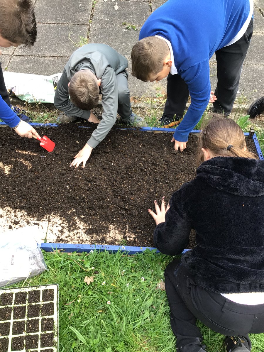 Cotmanhay Juniors tweet media